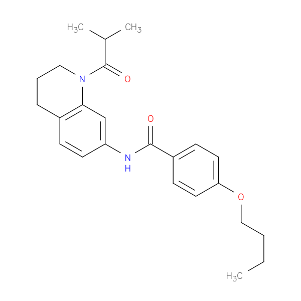 4-butoxy-N-[1-(2-methylpropanoyl)-1,2,3,4-tetrahydroquinolin-7-yl]benzamide