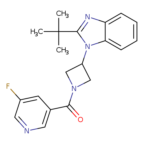 2-tert-butyl-1-[1-(5-fluoropyridine-3-carbonyl)azetidin-3-yl]-1H-1,3-benzodiazole