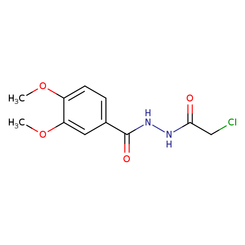 N'-(CHLOROACETYL)-3,4-DIMETHOXYBENZOHYDRAZIDE