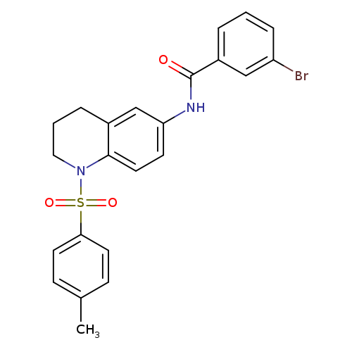 3-bromo-N-[1-(4-methylbenzenesulfonyl)-1,2,3,4-tetrahydroquinolin-6-yl]benzamide