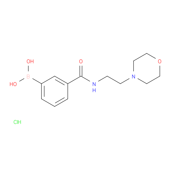 (3-((2-Morpholinoethyl)carbamoyl)phenyl)boronic acid hydrochloride