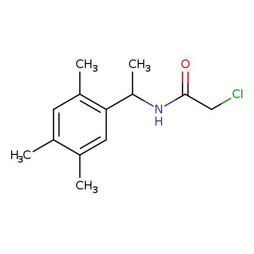 2-chloro-N-[1-(2,4,5-trimethylphenyl)ethyl]acetamide