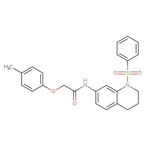N-[1-(benzenesulfonyl)-1,2,3,4-tetrahydroquinolin-7-yl]-2-(4-methylphenoxy)acetamide