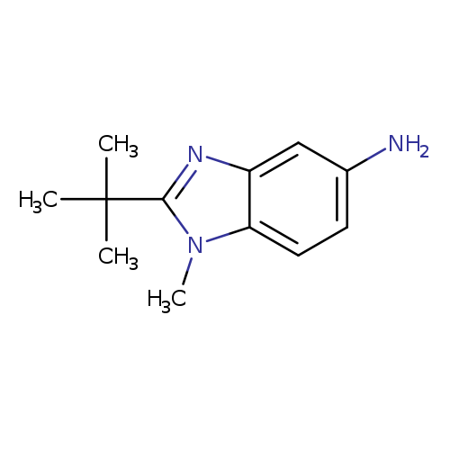 2-tert-butyl-1-methyl-1H-1,3-benzodiazol-5-amine