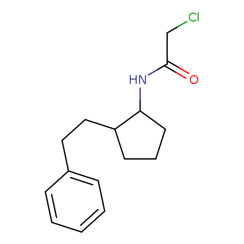 2-chloro-N-[2-(2-phenylethyl)cyclopentyl]acetamide