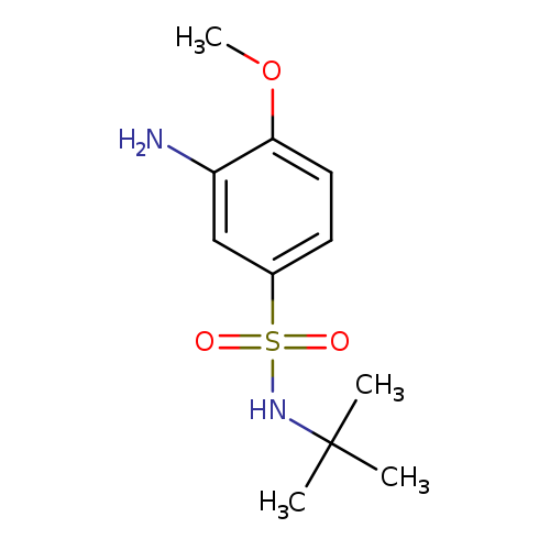 3-amino-N-tert-butyl-4-methoxybenzene-1-sulfonamide