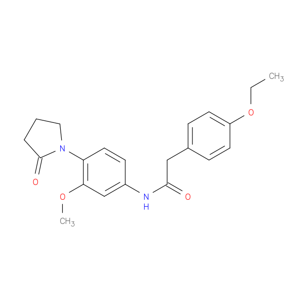 2-(4-ethoxyphenyl)-N-[3-methoxy-4-(2-oxopyrrolidin-1-yl)phenyl]acetamide