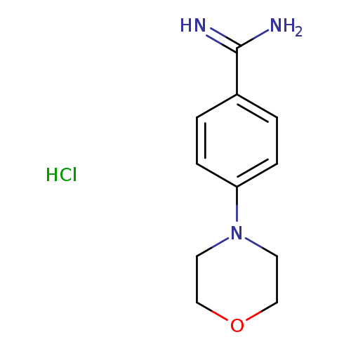 4-(Morpholin-4-yl)benzene-1-carboximidamide HCl