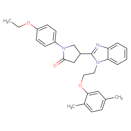 4-{1-[2-(2,5-dimethylphenoxy)ethyl]-1H-1,3-benzodiazol-2-yl}-1-(4-ethoxyphenyl)pyrrolidin-2-one