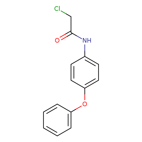 2-Chloro-n-(4-phenoxyphenyl)acetamide