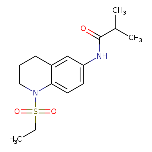 N-[1-(ethanesulfonyl)-1,2,3,4-tetrahydroquinolin-6-yl]-2-methylpropanamide