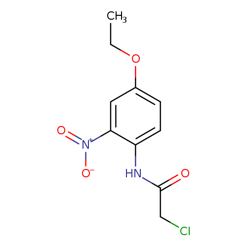 2-Chloro-n-(4-ethoxy-2-nitrophenyl)acetamide