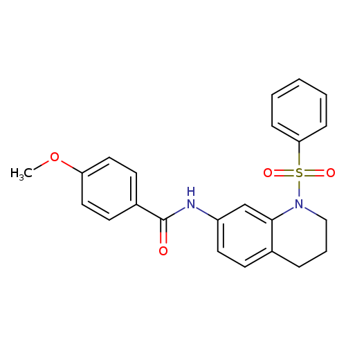 N-[1-(benzenesulfonyl)-1,2,3,4-tetrahydroquinolin-7-yl]-4-methoxybenzamide