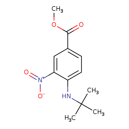 Methyl 4-(tert-butylamino)-3-nitrobenzoate
