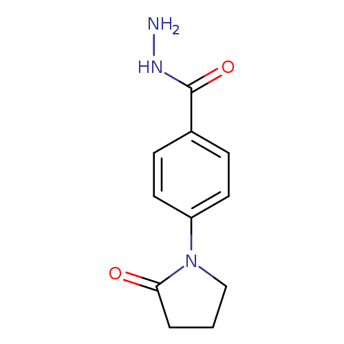 4-(2-Oxopyrrolidin-1-yl)benzohydrazide