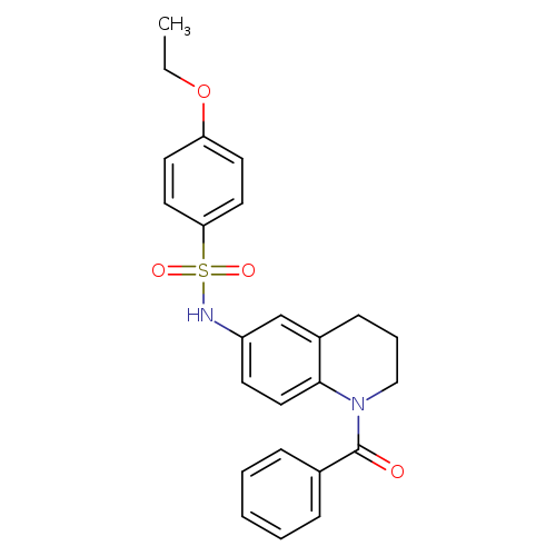 N-(1-benzoyl-1,2,3,4-tetrahydroquinolin-6-yl)-4-ethoxybenzene-1-sulfonamide