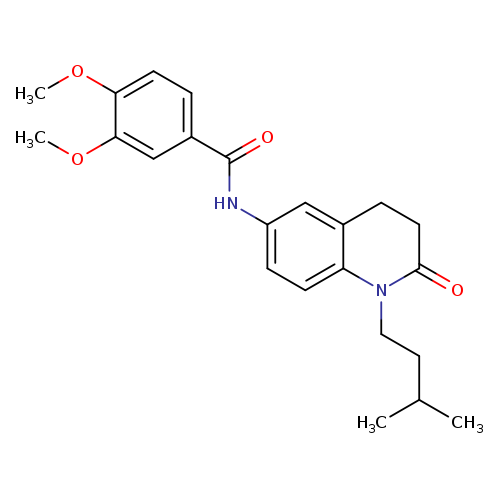 3,4-dimethoxy-N-[1-(3-methylbutyl)-2-oxo-1,2,3,4-tetrahydroquinolin-6-yl]benzamide