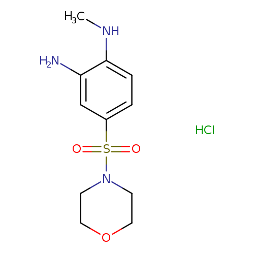 N1-methyl-4-(morpholine-4-sulfonyl)benzene-1,2-diamine hydrochloride