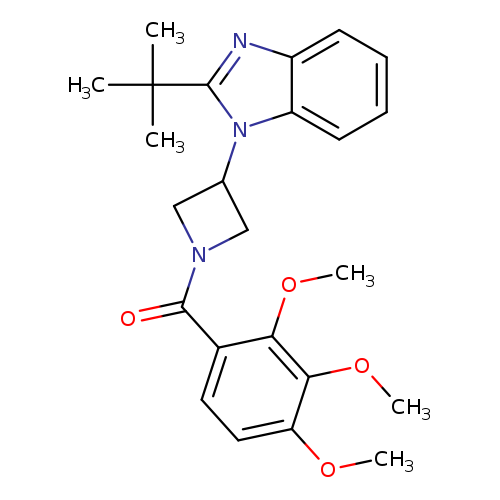 2-tert-butyl-1-[1-(2,3,4-trimethoxybenzoyl)azetidin-3-yl]-1H-1,3-benzodiazole
