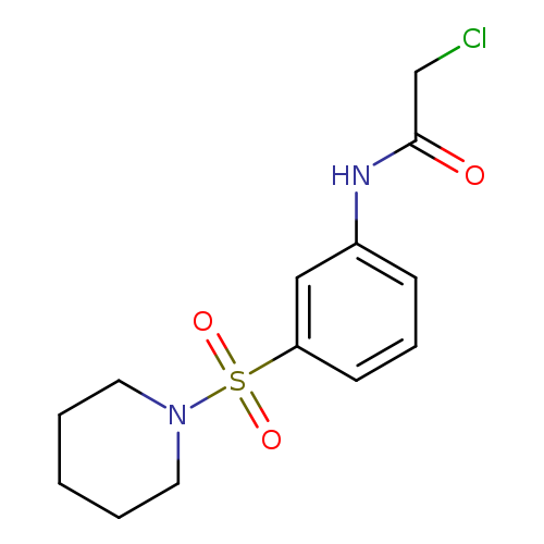 2-chloro-N-[3-(piperidine-1-sulfonyl)phenyl]acetamide
