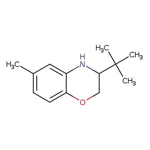 3-tert-butyl-6-methyl-3,4-dihydro-2H-1,4-benzoxazine