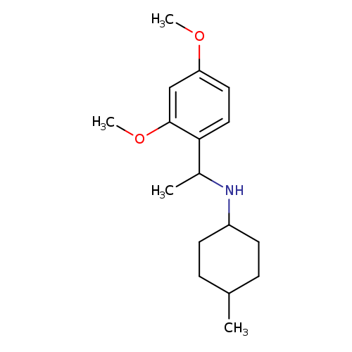 N-[1-(2,4-dimethoxyphenyl)ethyl]-4-methylcyclohexan-1-amine