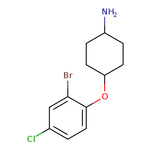4-(2-bromo-4-chlorophenoxy)cyclohexan-1-amine