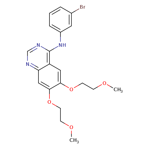 Erlotinib iMpurity 3