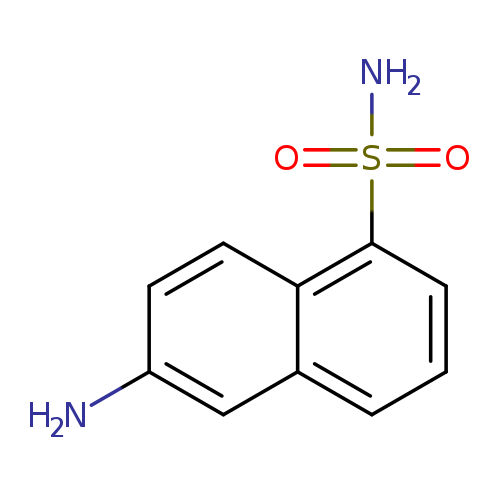 1-Naphthalenesulfonamide,6-amino-