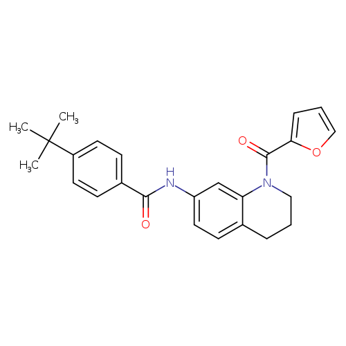 4-tert-butyl-N-[1-(furan-2-carbonyl)-1,2,3,4-tetrahydroquinolin-7-yl]benzamide