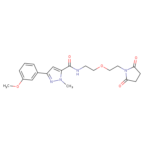 N-{2-[2-(2,5-dioxopyrrolidin-1-yl)ethoxy]ethyl}-3-(3-methoxyphenyl)-1-methyl-1H-pyrazole-5-carboxamide