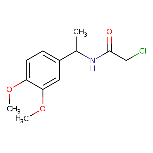 2-chloro-N-[1-(3,4-dimethoxyphenyl)ethyl]acetamide