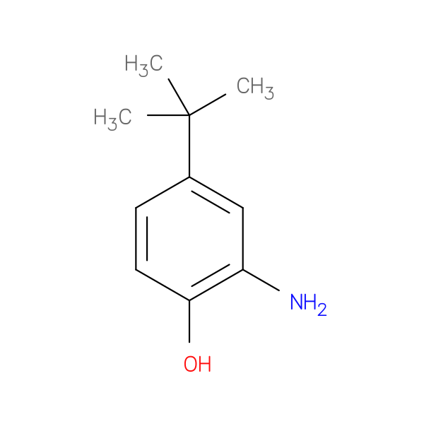 2-Amino-4-(tert-butyl)phenol