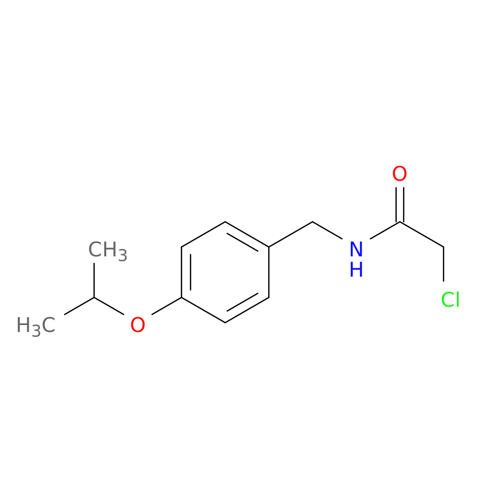 2-chloro-N-{[4-(propan-2-yloxy)phenyl]methyl}acetamide