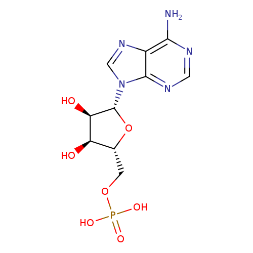 Adenosine 5'-monophosphate