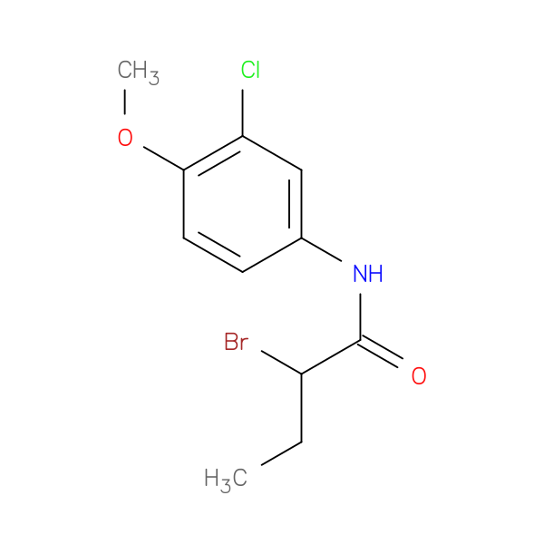 2-Bromo-n-(3-chloro-4-methoxyphenyl)butanamide