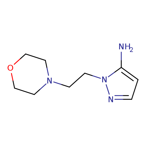 1-[2-(morpholin-4-yl)ethyl]-1h-pyrazol-5-amine