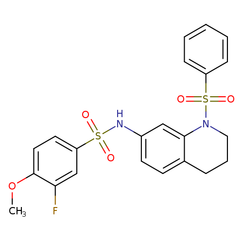 N-[1-(benzenesulfonyl)-1,2,3,4-tetrahydroquinolin-7-yl]-3-fluoro-4-methoxybenzene-1-sulfonamide