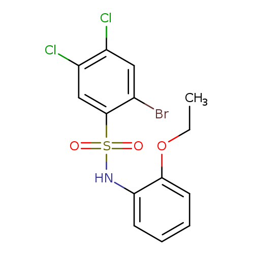 2-bromo-4,5-dichloro-N-(2-ethoxyphenyl)benzene-1-sulfonamide