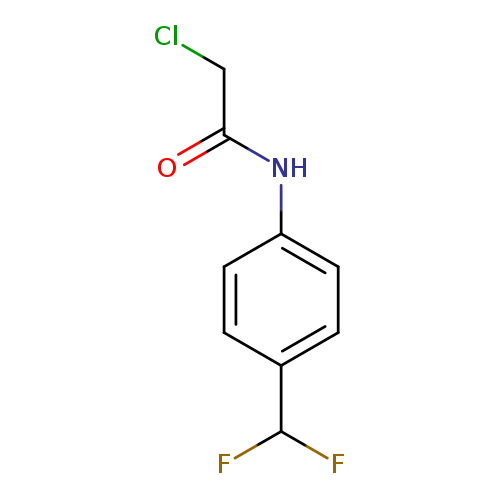 2-CHLORO-N-[4-(DIFLUOROMETHYL)PHENYL]-ACETAMIDE