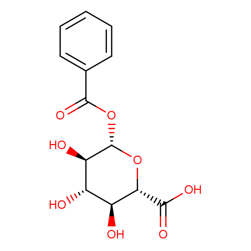 benzoyl glucuronide