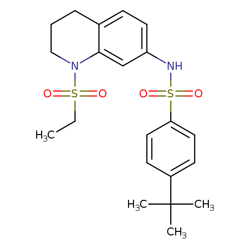 4-tert-butyl-N-[1-(ethanesulfonyl)-1,2,3,4-tetrahydroquinolin-7-yl]benzene-1-sulfonamide