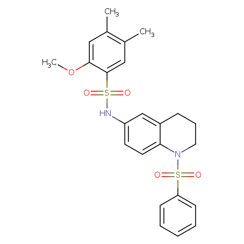 N-[1-(benzenesulfonyl)-1,2,3,4-tetrahydroquinolin-6-yl]-2-methoxy-4,5-dimethylbenzene-1-sulfonamide