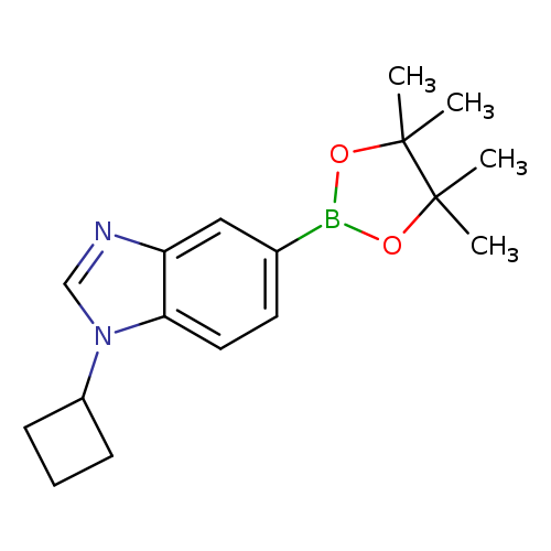 1-Cyclobutyl-5-(4,4,5,5-tetramethyl-1,3,2-dioxaborolan-2-yl)-1H-benzo[d]imidazole