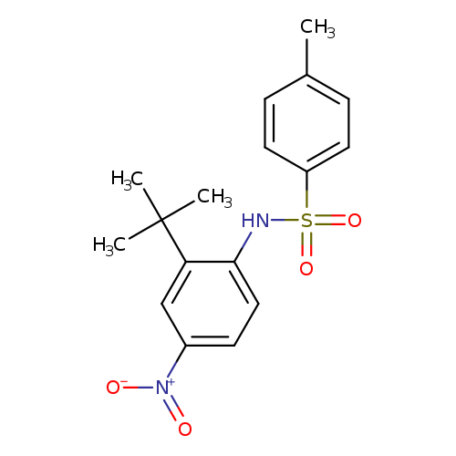 N-{2-tert-butyl-4-nitrophenyl}-4-methylbenzenesulfonamide