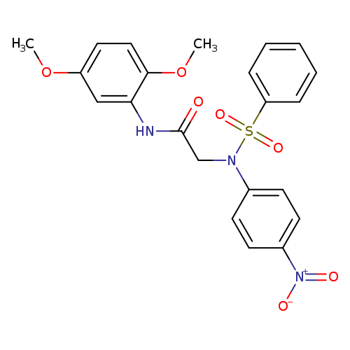 N-(2,5-dimethoxyphenyl)-2-[4-nitro(phenylsulfonyl)anilino]acetamide