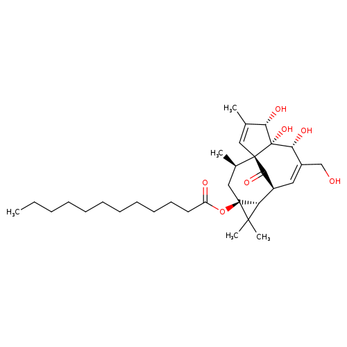 Dodecanoic acid ingenol ester