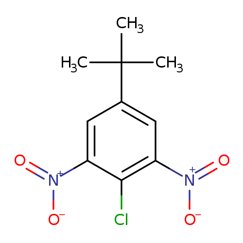 5-(tert-Butyl)-2-chloro-1,3-dinitrobenzene
