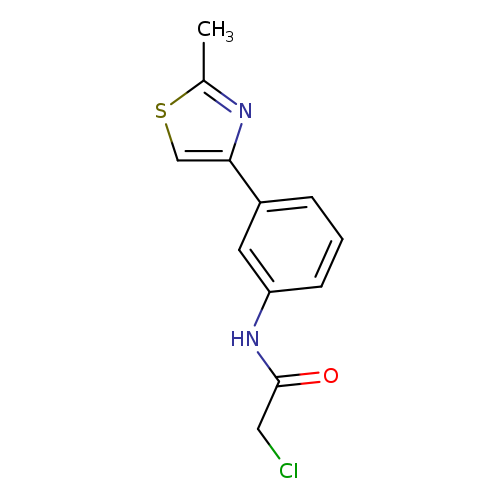 2-Chloro-N-[3-(2-methyl-thiazol-4-yl)-phenyl]-acetamide