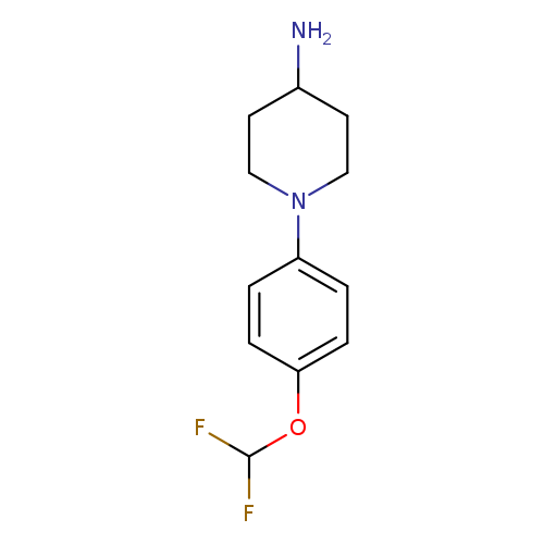 1-[4-(difluoromethoxy)phenyl]piperidin-4-amine